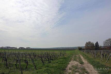 * Ruhig * Große Sonnen-Terrasse * Viel Platz! * - Gimbsheim
