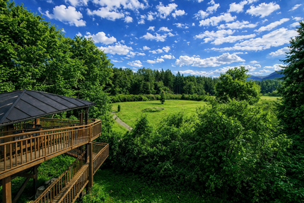 Haus zum Kaufen in Bernau am Chiemsee 3.960.000,00 € 579 m²