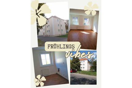 Wohnen im Geiseltal - 3-Raum-Wohnung - Braunsbedra