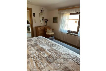 Bad Harzburg Göttingerode Möbliert 2Zimmer Wohnung