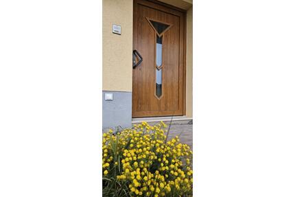 Wohnung 90qm 3Z Bad NEU saniert ERSTBEZUG Stellplatz Manderbach - Dillenburg