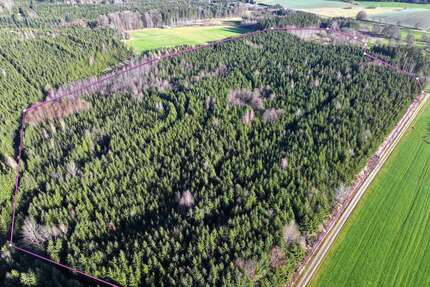 Grundstück in Kirchhaslach 429.000,00 € 123084 m²