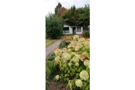 Pachtgarten für Familien mit Kinder - Magdeburg Alt Olvenstedt