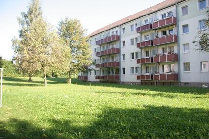 Wer hat da schlechte Laune? Sonnige 2-Zimmer-Wohnung - Chemnitz Altendorf