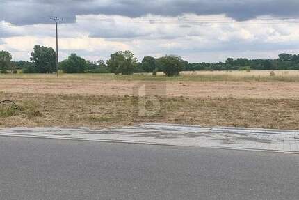 Grundstück zu verkaufen in Dreiheide 88.688,00 € 964 m²