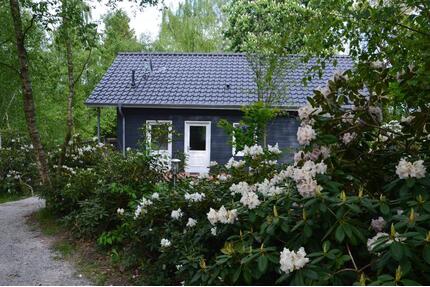 295,00&nbsp;EUR Kaltmiete, in Wiefelstede (PLZ: 26215)