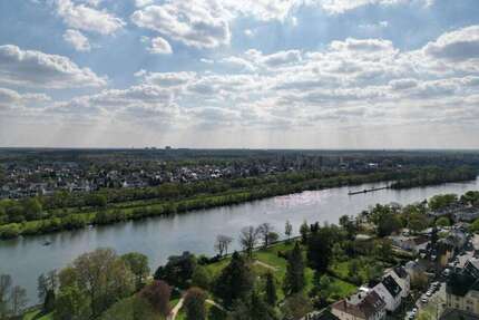Wohnung zum Kaufen in Frankfurt am Main 234.000,00 € 53 m²