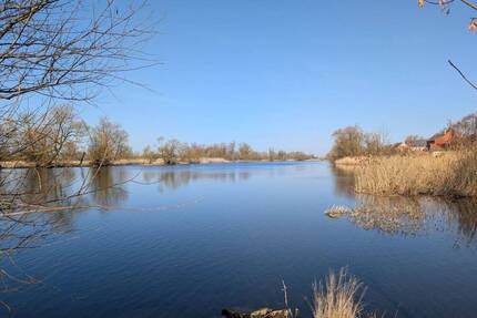 Im Natur-und Sternenpark Westhavelland leben...... - Havelaue Strodehne