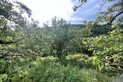 Grundstück zu verkaufen in Stuttgart 19.500,00 € 878 m²