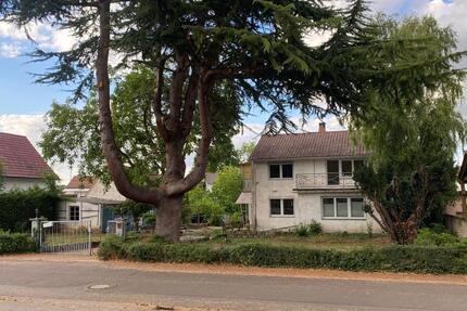 Seltene Chance in Monsheim: Großzügiges Grundstück + Bestandshaus