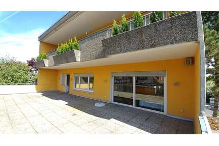 Wohnung zum Mieten in Offenbach 1.800,00 € 180 m²