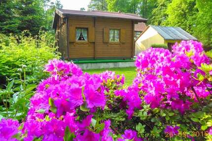 Haus zum Kaufen in Großharthau 65.000,00 € 24 m²