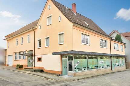 Haus zum Kaufen in Michelstadt 499.000,00 € 292 m²