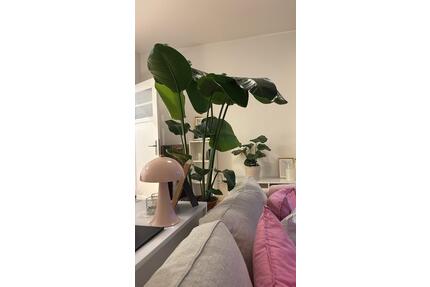Wohnung zur Untermiete 25.05 - 30.06.2026 - Hamburg Winterhude