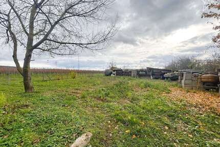 Grundstück zu verkaufen in Gensingen 279.000,00 € 1377 m²