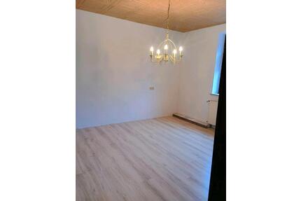 2 ZKB frisch renoviert, 53qm Hangard zu vermieten - Spiesen-Elversberg