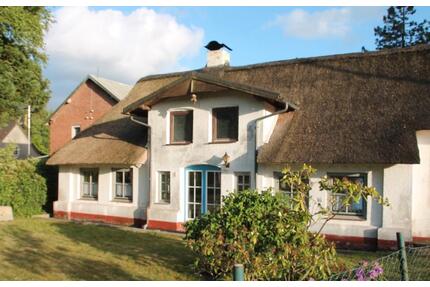 Urlaub und Erholung unterm Reetdach (Kleve, Kreis Dithmarschen) - Hennstedt