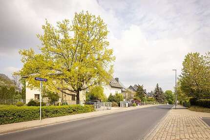 Wohnung zum Mieten in Dresden 1.340,00 € 74.4 m²