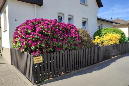 Einfamilienhaus mit großem Grundstück in ruhiger Wohnlage - Braunfels