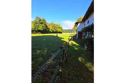 Wohnen mit Tieren - 649.000,00&nbsp;EUR Kaufpreis, ca.&nbsp; 140,00&nbsp;m&sup2; in Pohlheim (PLZ: 35415)