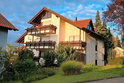 Schöne 2,5-Zimmer-87qm-Wohnung mit Balkon (traumhafter Weitblick) - Löwenstein