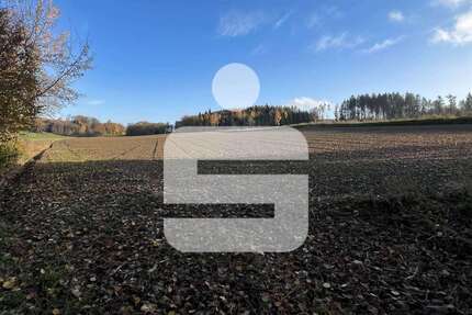 Grundstück in Wurmannsquick 295.000,00 € 24784 m²