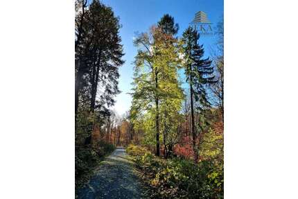 Grundstück zu verkaufen in Tiefenbach 45.000,00 € 3812 m²