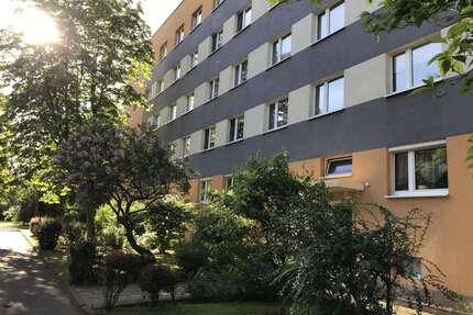 Wohnung zum Mieten in Halle (Saale) 315,00 € 58.8 m²