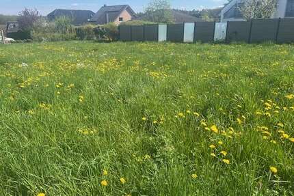 Grundstück zu verkaufen in Rheinbach-Merzbach 240.000,00 € 700 m²