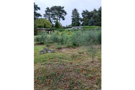 Grundstück zu verkaufen in Ludwigsfelde 199.900,00 € 499 m²