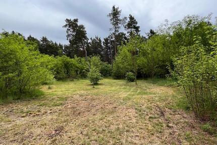 Natur pur - Freizeitgrundstücke mit altem Haus, nahe Berlin - Kleinmachnow