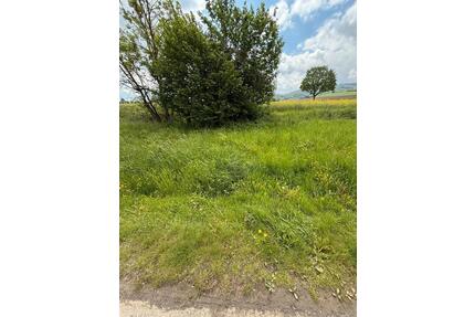 42m2 Grundstück Lüerdissen - 500,00&nbsp;EUR Kaltmiete, ca.&nbsp; 0,00&nbsp;m&sup2; in Eschershausen (PLZ: 37632)