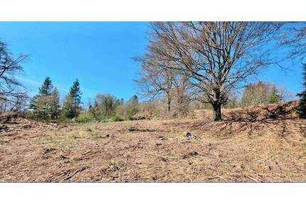 Baugrundstück mit einer Fläche von 1.458 m² in Trippstadt