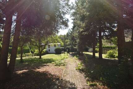 Grundstück zu verkaufen in Chemnitz 55.000,00 € 830 m²