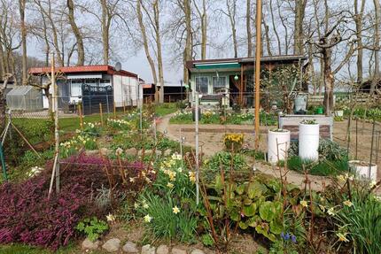 Gepflegter Kleingarten in Sommerfeld (Prohn)