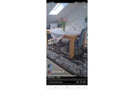 wohnung zu mitte - 750,00&nbsp;EUR Kaltmiete, ca.&nbsp; 100,00&nbsp;m&sup2;&nbsp;Wohnfl&auml;che in Plattling (PLZ: 94447)