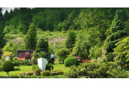 Ferienwohnung mit ❤️ - 45,00&nbsp;EUR Kaltmiete, in Schmallenberg (PLZ: 57392)