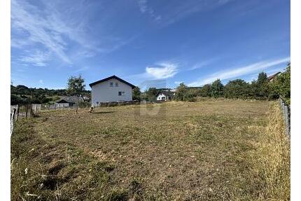 GESTALTUNGSFREIHEIT TRIFFT RUHE UND NATUR - Greifenstein