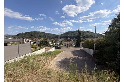 UNVERBAUBARER PANORAMA-BLICK IN LAHRS BESTLAGE - Lahr/Schwarzwald