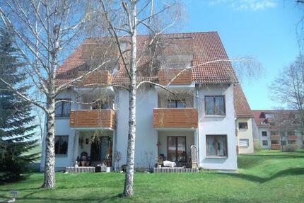 Wohnen im Grünen mit Terrasse – großzügige 3-Raumwohnung in ruhiger Lage von Niederlungwitz! - Glauchau