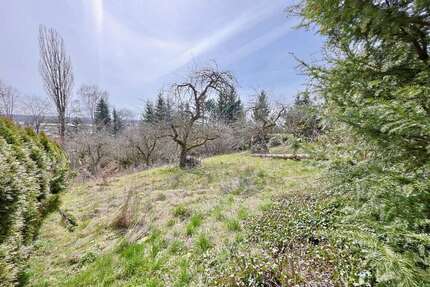 Grundstück zu verkaufen in Erbach 1.576.000,00 € 1999 m²