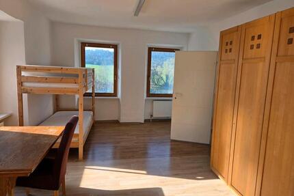 große 1 Zimmerwohnung in Gundelsheim