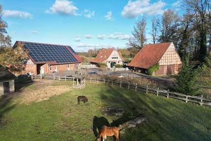 Haus zum Kaufen in Rahden 1.488.000,00 € 335 m²