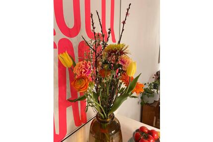 4,5 Zimmerwohnung zur Zwischenmiete - Freiburg im Breisgau Lehen