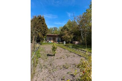 Garten abzugeben ‼️ - 500,00&nbsp;EUR Kaltmiete, ca.&nbsp; 0,00&nbsp;m&sup2; in Bitterfeld-Wolfen (PLZ: 06766)