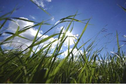 AIGNER - Attraktives Grundstück in Feldafing für EFHZFH, auch Nachbargrundstück verfügbar