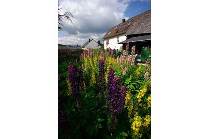 300qm Haus mit Garten inmitten der Eifel - Mehren