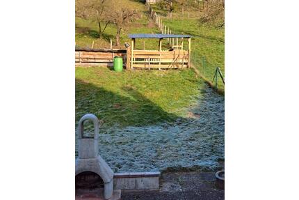 Wohnung zu vermieten - 1.300,00&nbsp;EUR Kaltmiete, ca.&nbsp; 100,00&nbsp;m&sup2; in Polle (PLZ: 37647)