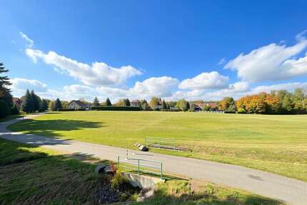 Grundstück in Bernsdorf 7.133,00 € 7133 m²