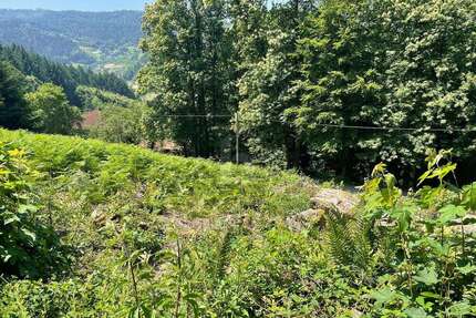 Grundstück zu verkaufen in Ottenhöfen im Schwarzwald 135.000,00 € 1585 m²